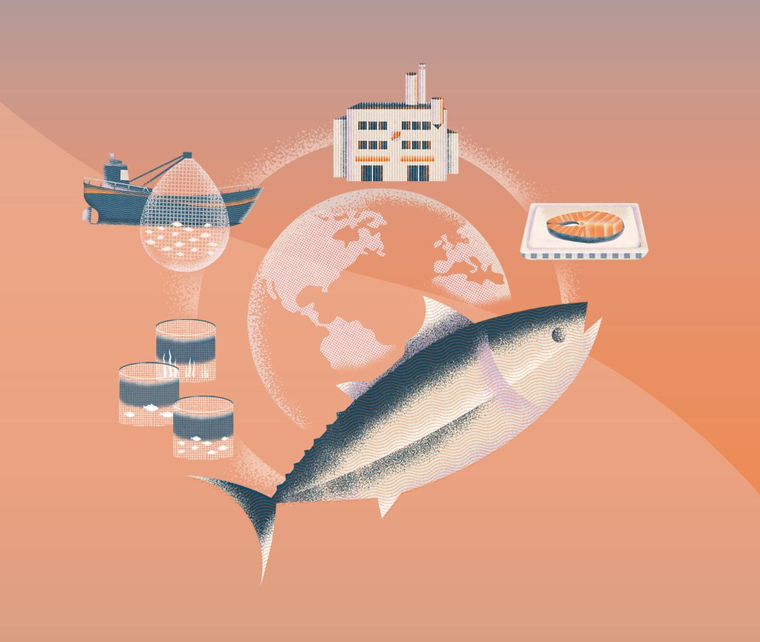 Sustainable Seafood: Barriers and Opportunities in the Fishing Industry -  EIT Campus