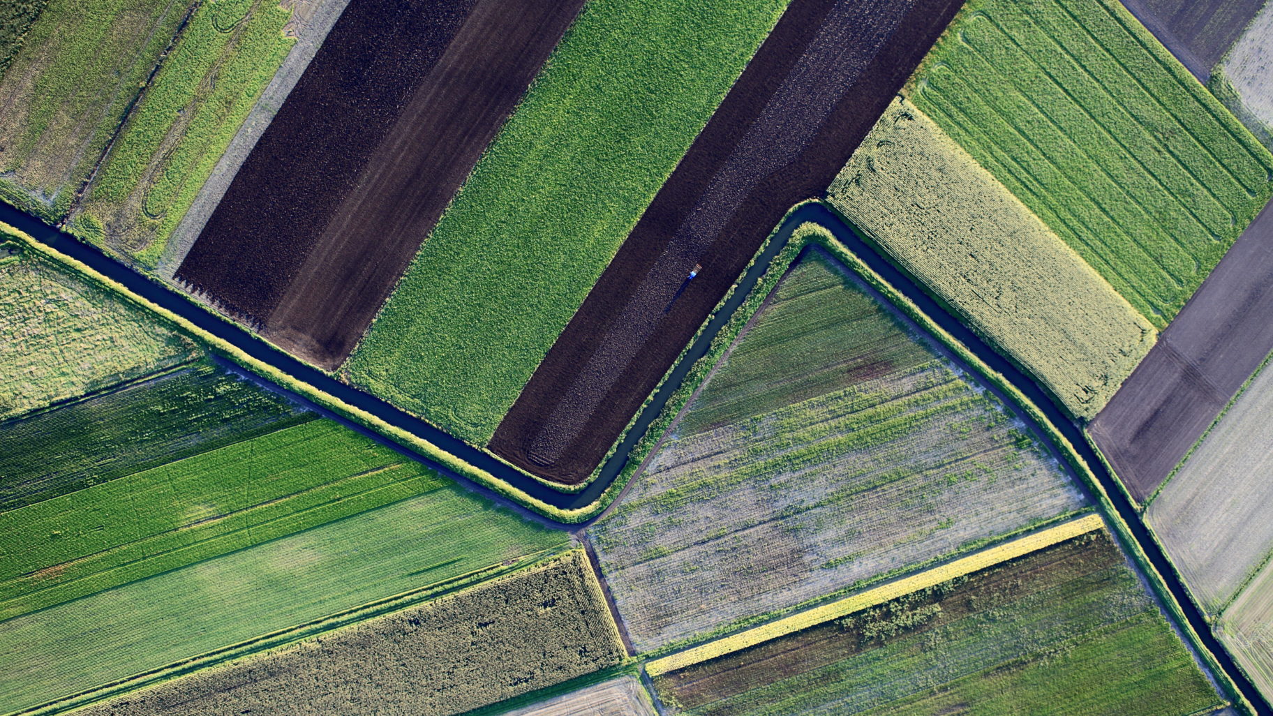 Aerial photo of farmland geography