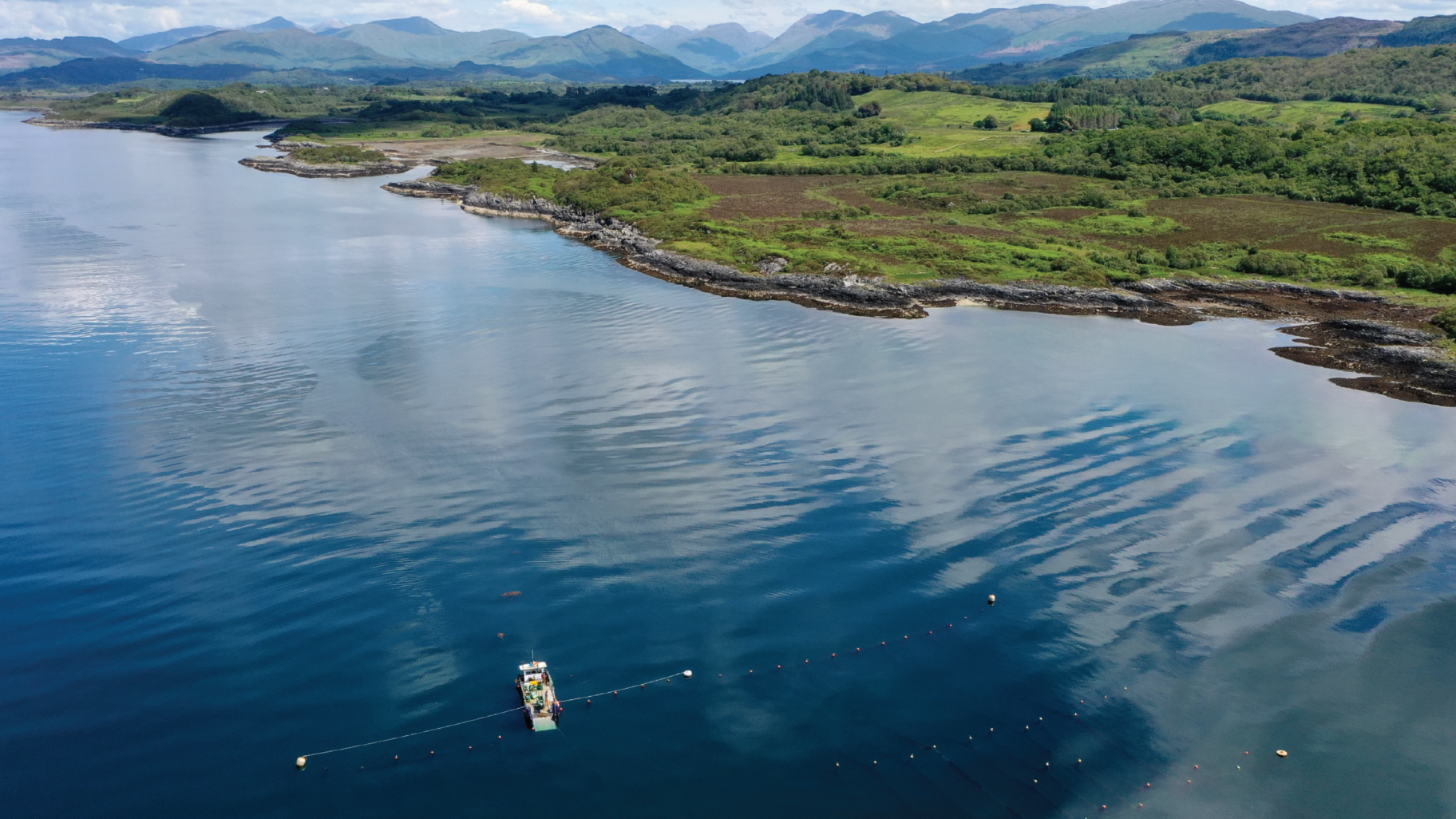 A peaceful landscape featuring a body of water, symbolizing restorative aquaculture practices aimed at environmental recovery and sustainability.