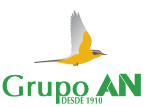 Grupo AN