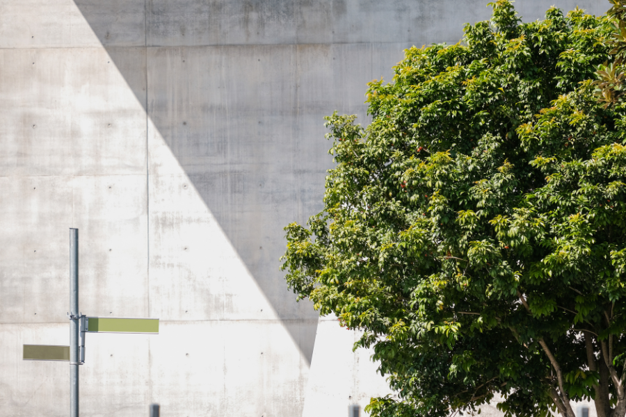 A concrete wall with a tree casting a shadow, symbolizing the contrast between urban development and the importance of green spaces for the environment.