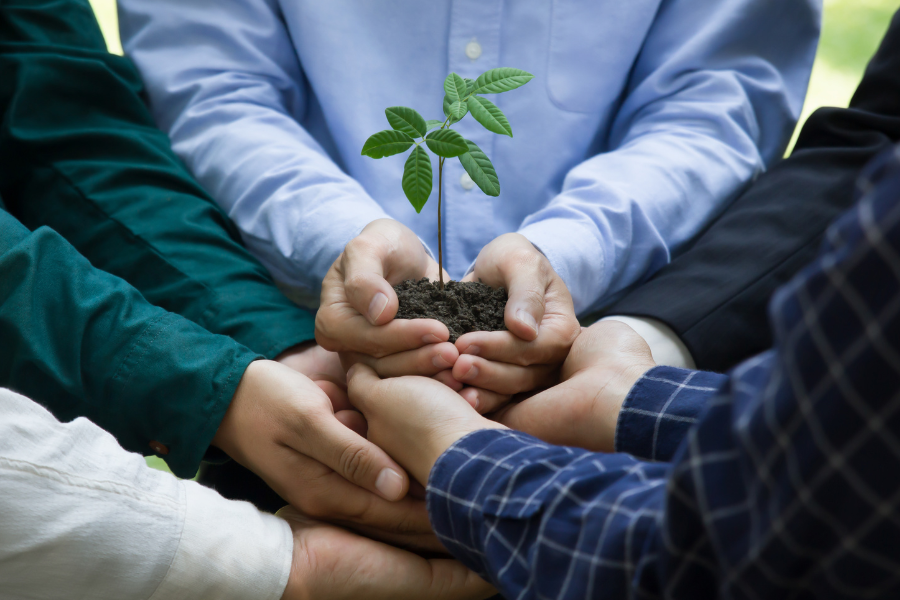 Five people holding a plant, symbolizing care for the environment