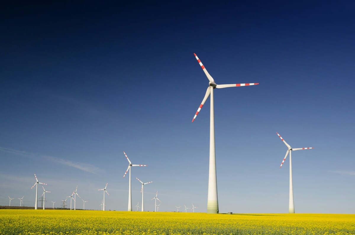 wind turbines in a field of yellow flowers